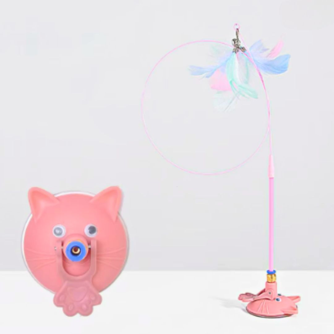 Haste Ventosa Interativa para Gatos