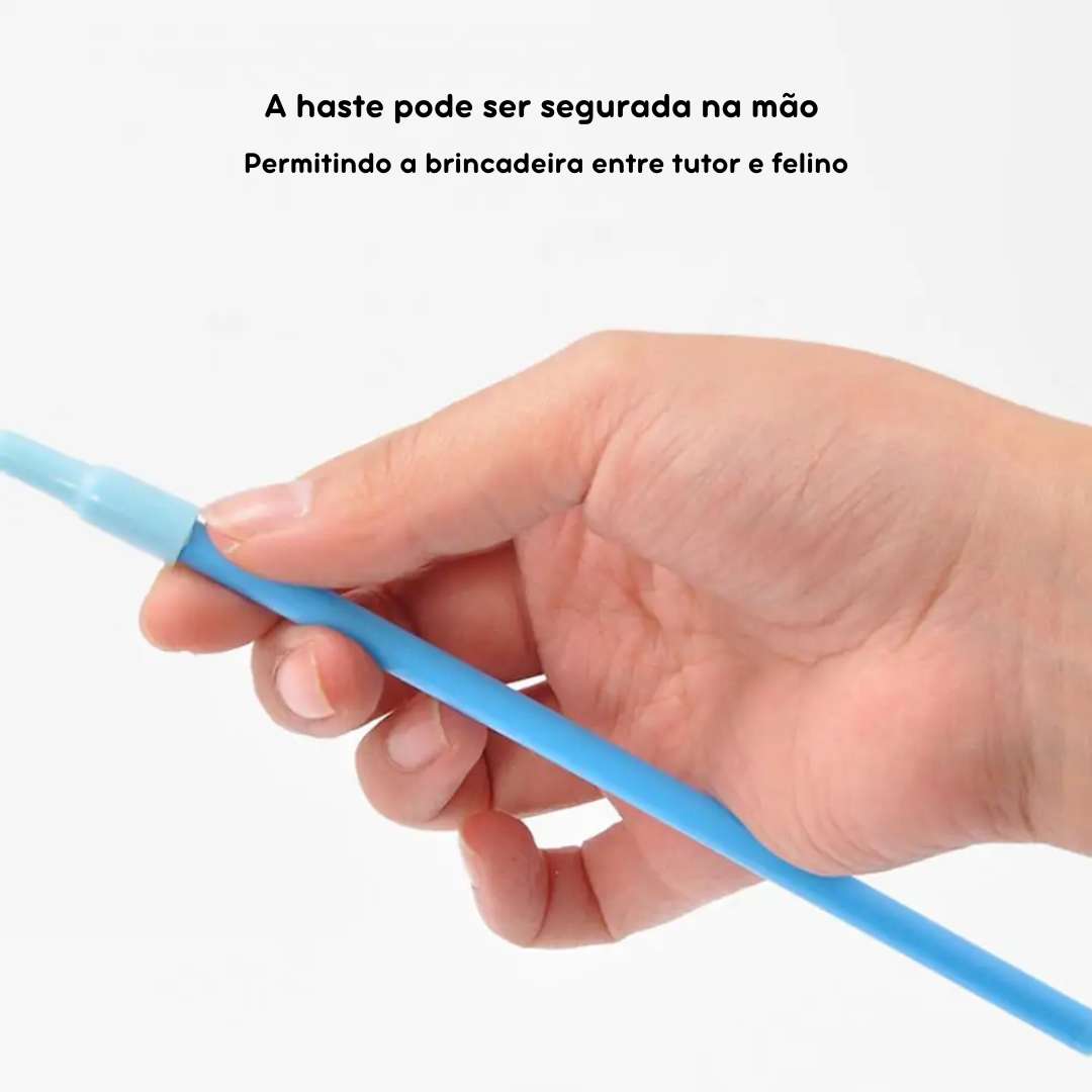 Haste Ventosa Interativa para Gatos