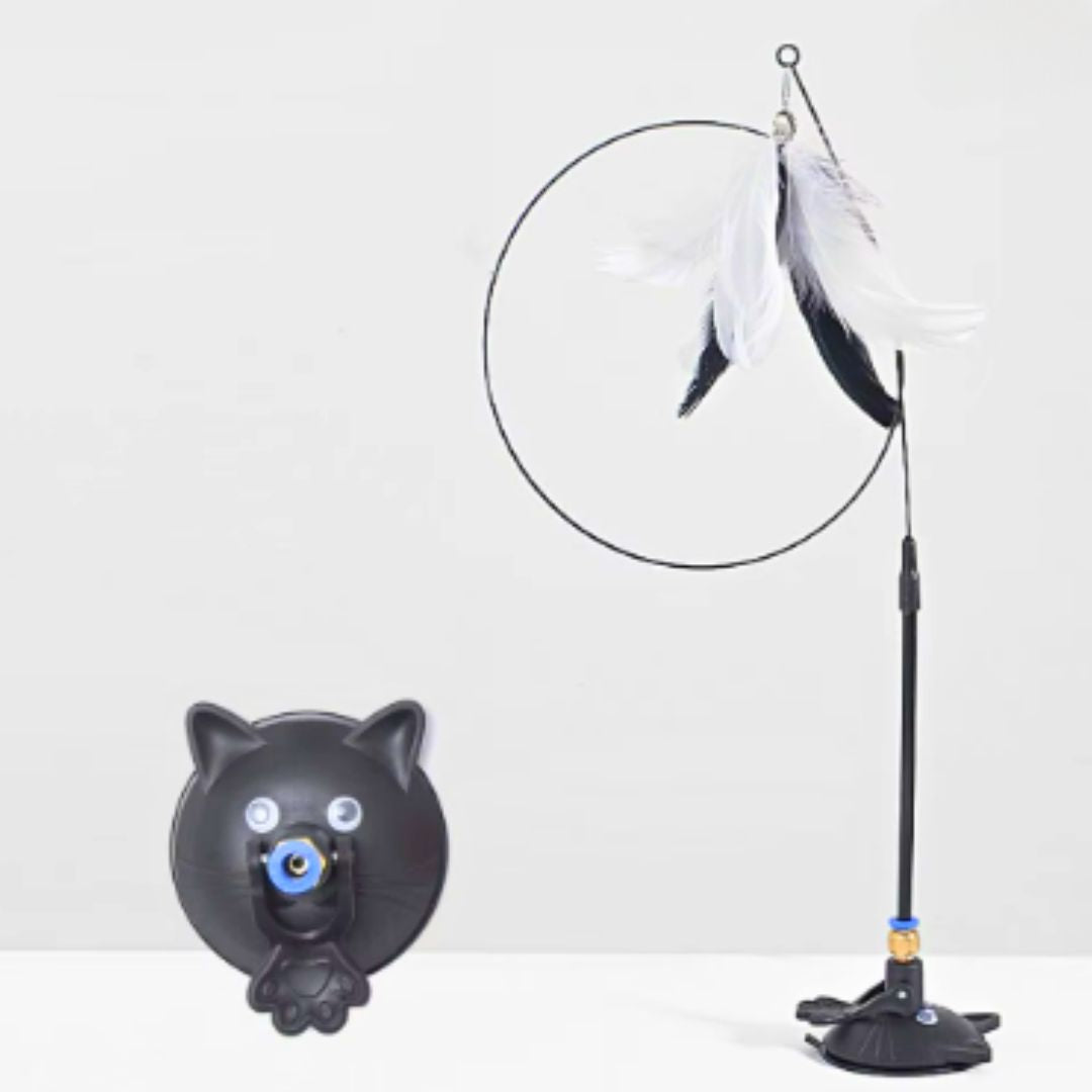 Haste Ventosa Interativa para Gatos